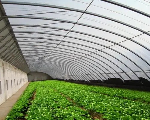 溫室養(yǎng)殖大棚建設(shè)